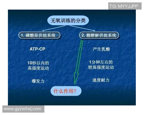 南京羽毛球队耐力训练的深度分析与实践探索 南京羽毛球队耐力训练的深度分析与实践探索