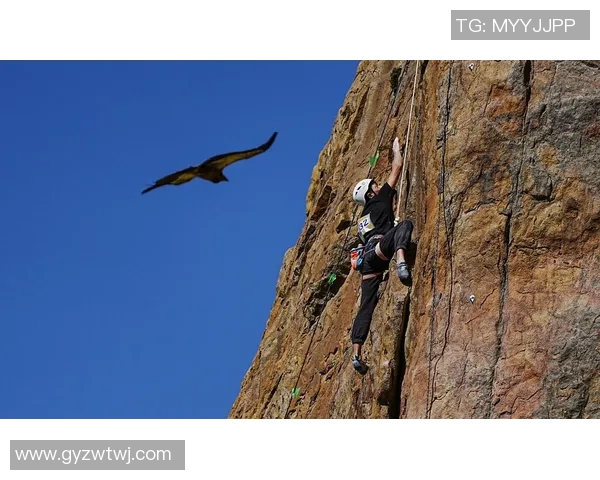 重庆排球队耐力之争引发热议球迷与专家各执己见探讨背后原因 重庆排球队耐力之争引发热议球迷与专家各执己见探讨背后原因