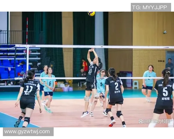 南京排球队逆袭之旅揭秘杯赛背后的拼搏与坚持